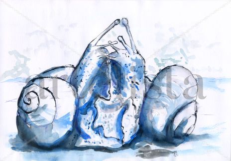 Caracol 002