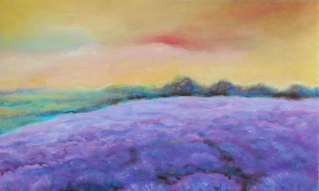 Lavender field