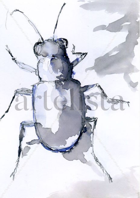 Escarabajo 002