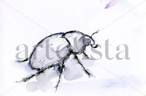 Escarabajo 003