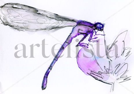 Libélula 001