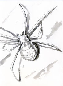 Araña 002