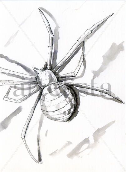 Araña 002 Ink