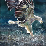 Plumas thumbnail 2