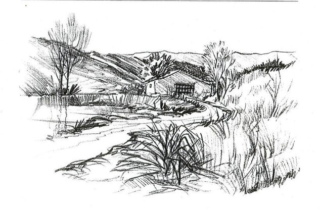 Paisaje a lápiz Pencil