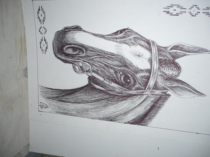 Caballo  campo