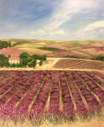 Valensole, campos...