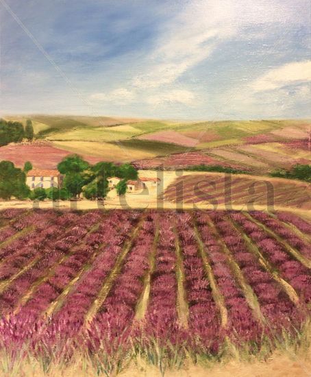 Valensole, campos de lavanda. Oil Canvas Landscaping