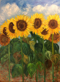 Girasoles en el campo