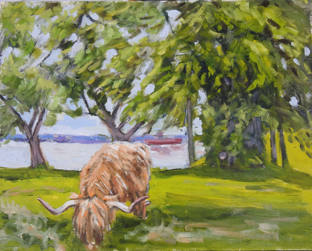 Hary cow pastando en las Tierras Altas, Escocia. Oil Panel Animals