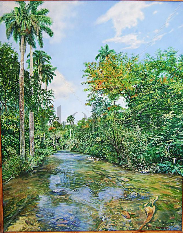 Rio 1