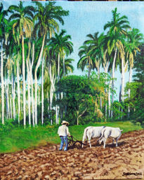 Campesino arando