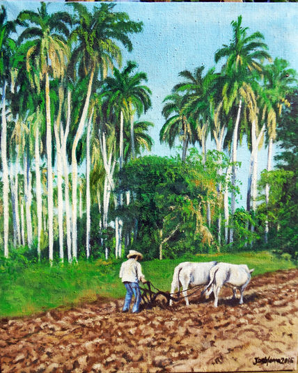 Campesino arando