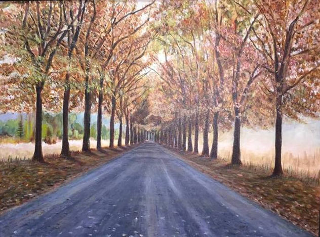camino a villa Baviera,( Mariela Aravena, constitución chile)