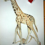 Animales thumbnail 2
