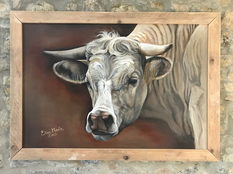 Toro