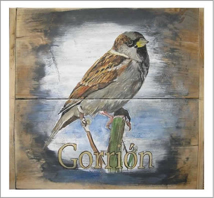 Gorrión
