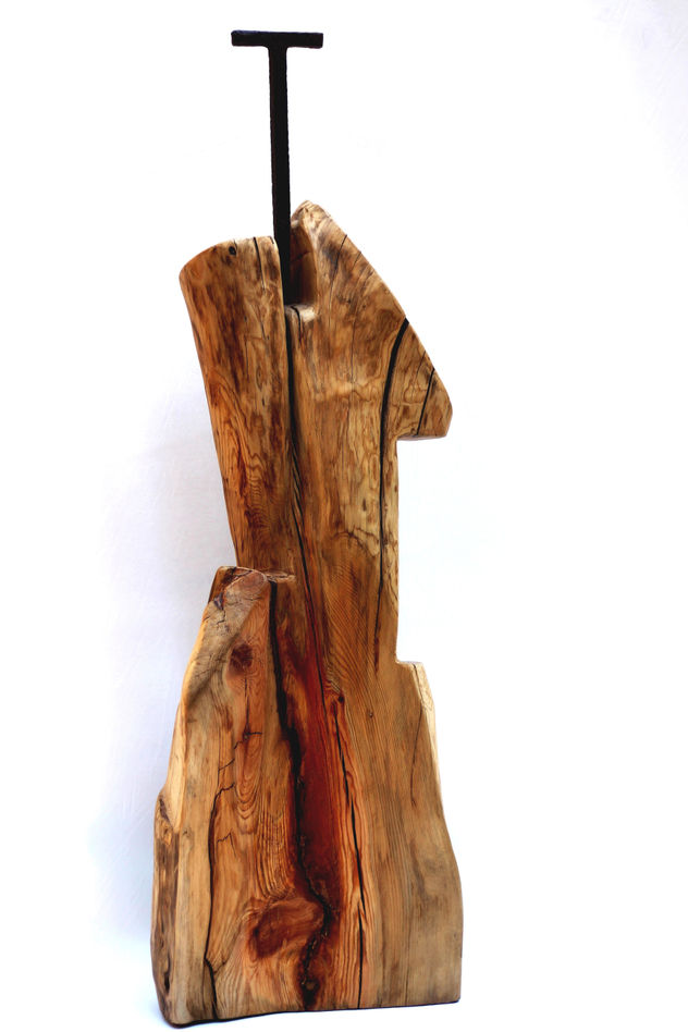 CUERPO DE MADERA Y CABEZA DE T