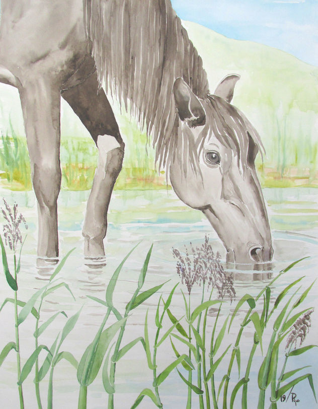 caballo bebiendo