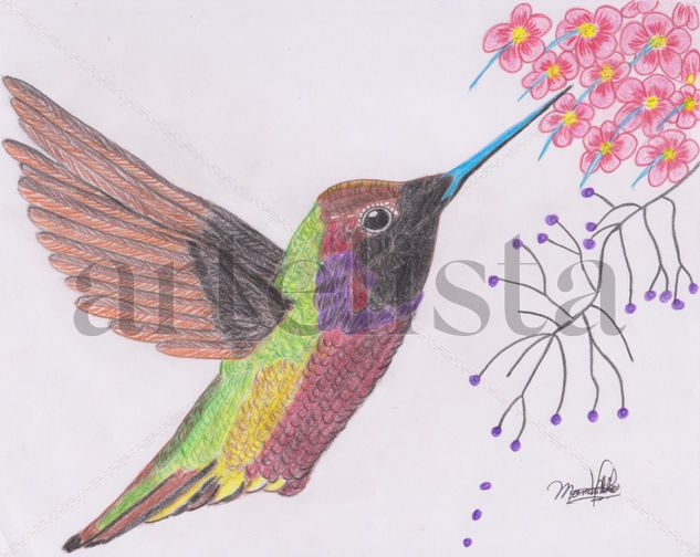 Colibrí Pencil