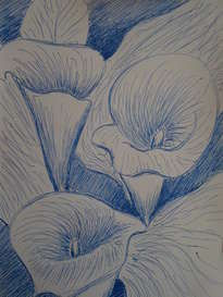 Calas, croquis, año 2013, constitucion, chile.