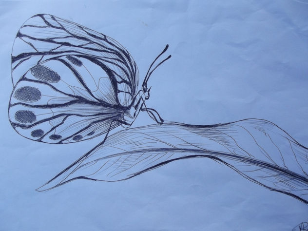 maripoza de estudio, año 2013, constitucion, chile.