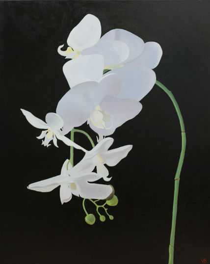 Orquídea