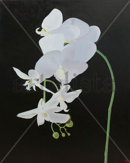 Orquídea Oil Canvas Floral Painting