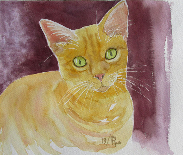 gato dorado Acuarela Papel Animales