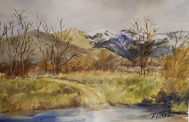 Una charca en el camino Watercolour Paper Landscaping