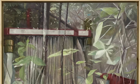 AMAZONIA