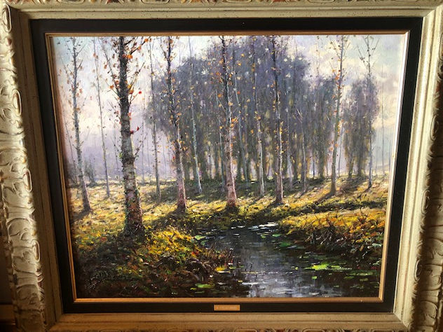 Riu de la Fageda