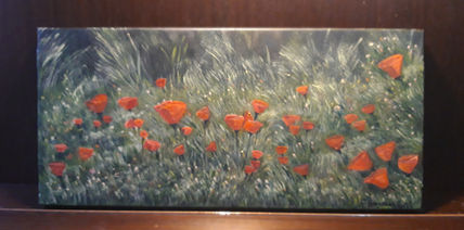 Campo de flores