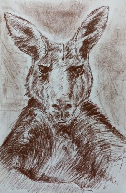 Canguro de la...