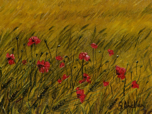 CAMPO DE AMAPOLAS  I Oil Canvas Landscaping