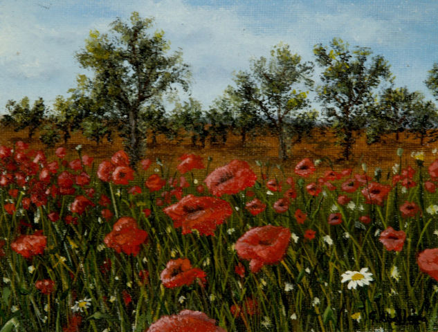 CAMPO DE AMAPOLAS 2 Oil Canvas Landscaping