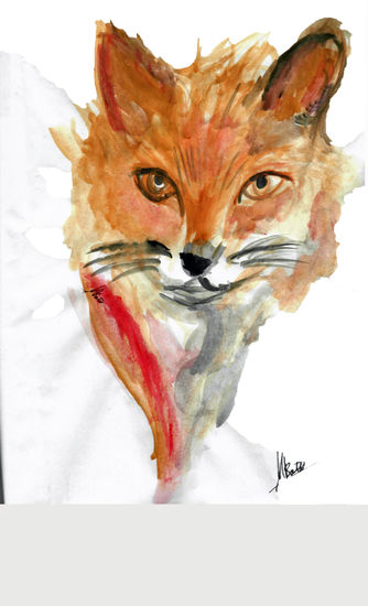 Zorro Culpeo Acuarela Papel Animales