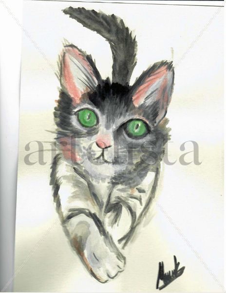 Gato