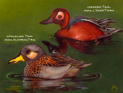 Patos