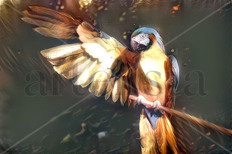 Bird With Wing Waving