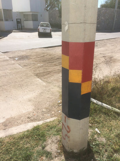 guacamaya roja 