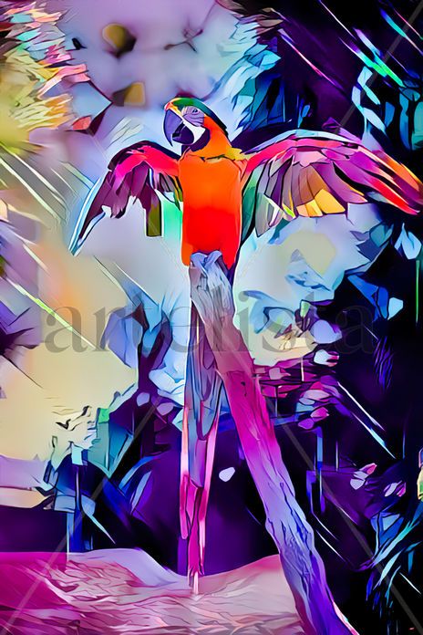 Macaw bird