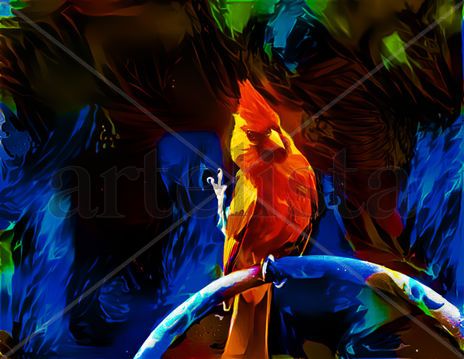 Bird