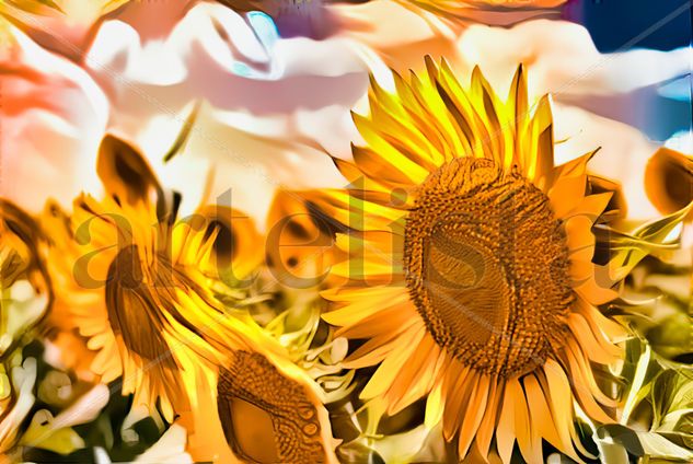 Sunflowers of the Sun 