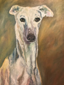 Nube, la Galga