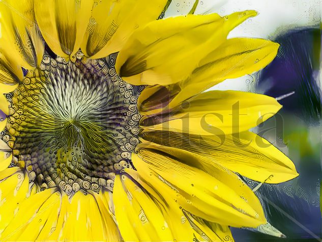 Sunflower Alone 