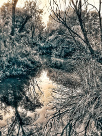 Paisaje reflejado