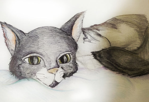 Gato Mixed Media