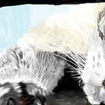 Animals thumbnail 2