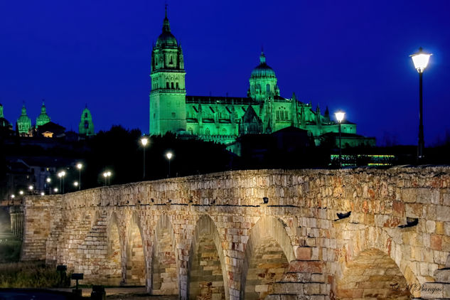 Salamanca en su hora azul Naturaleza Color (Digital)